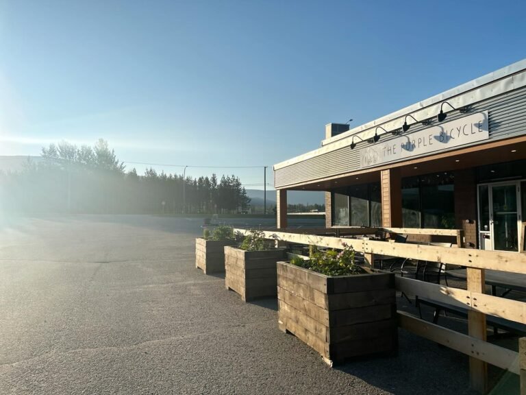 the purple bike 04 768x576