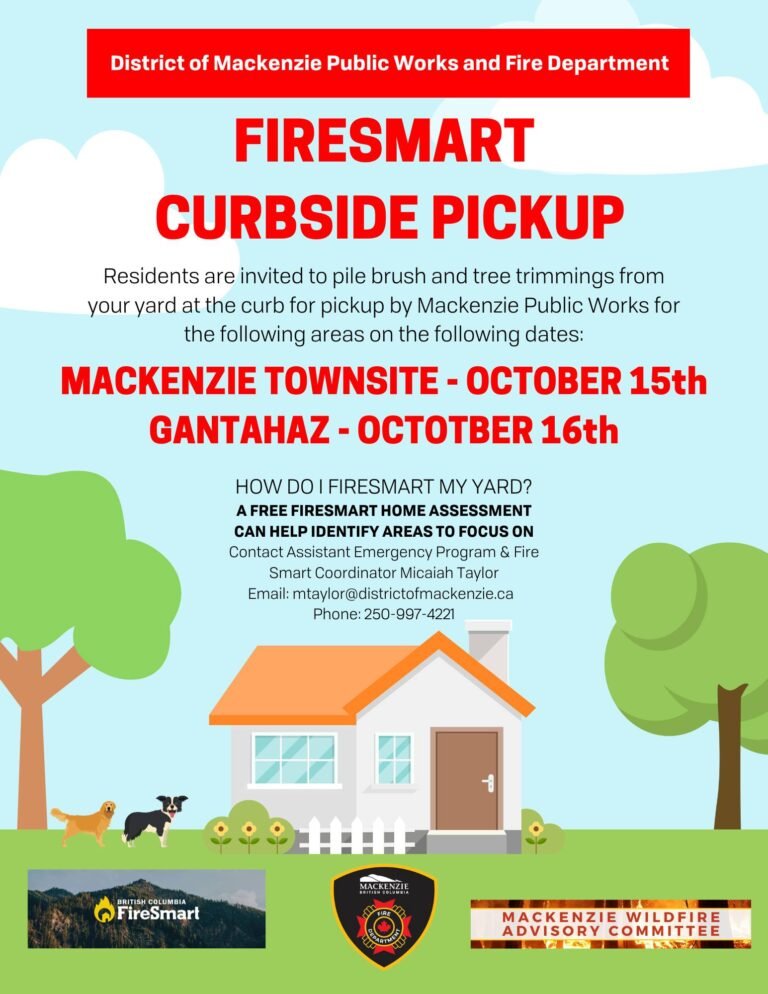 558300996 122266953014222538 7994247584054701347 n 768x994