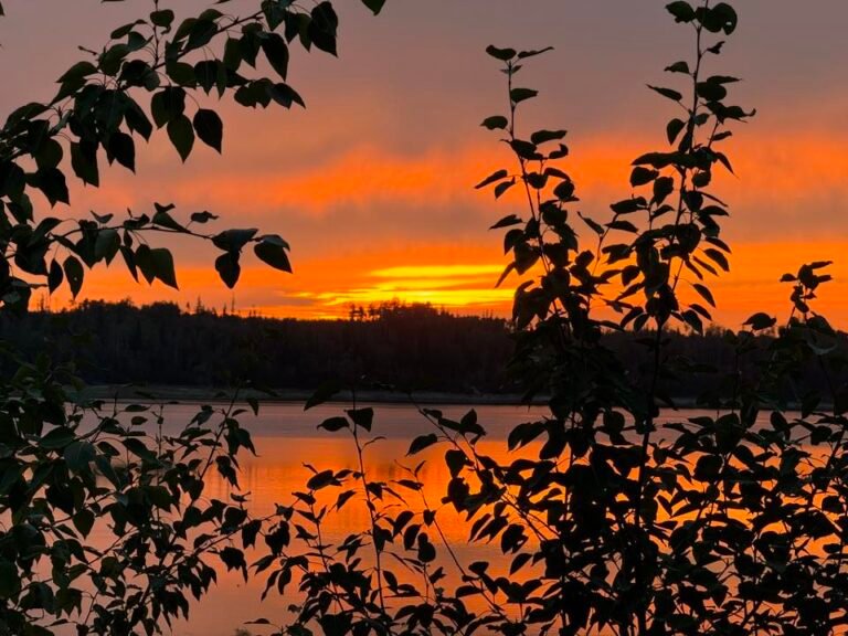 Mackenzie Landing summer sunset Sandra Kucheran 768x576